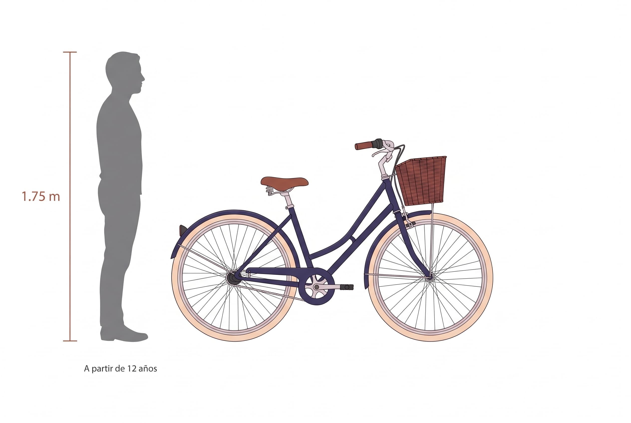 Esquema a escala: la bicicleta junto a la silueta de una persona de 1,75 m, a partir de 12 años